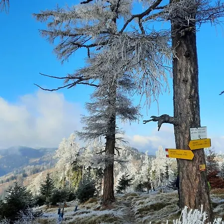 Διαμέρισμα Wurm *