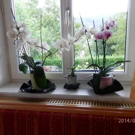 Luxus Wurm Apartment *